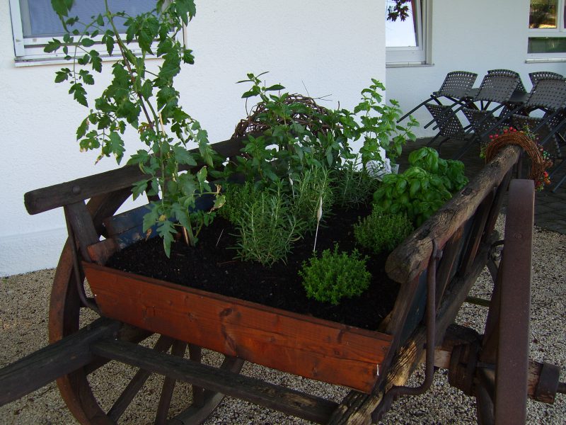Kräuterwagen Terrasse Im Restaurant Campus Ludwigsburg