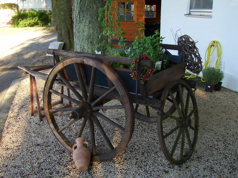 Kräuterwagen Terrasse Im Restaurant Campus Ludwigsburg