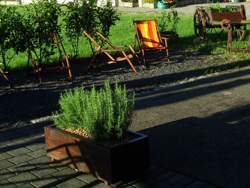 Kräuter Terrasse Im Restaurant Campus Ludwigsburg